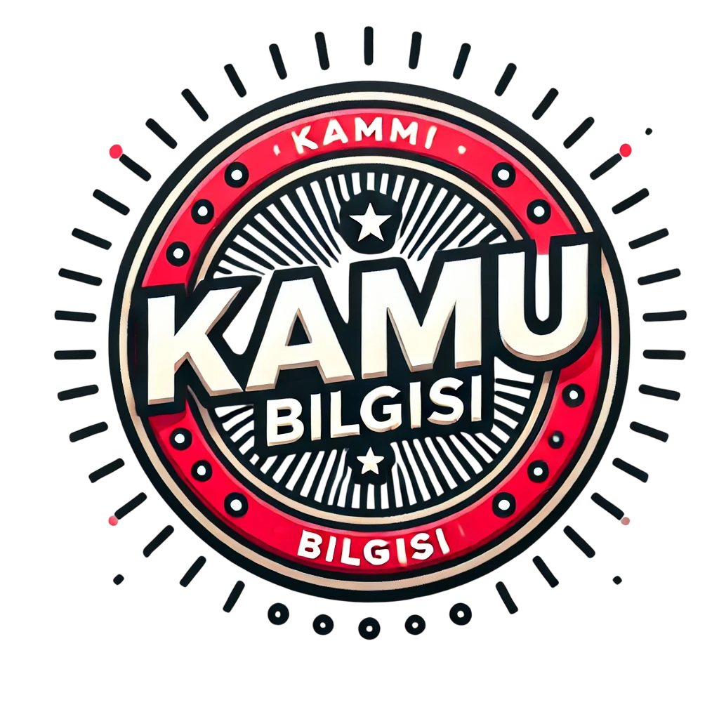 kamu bilgisi