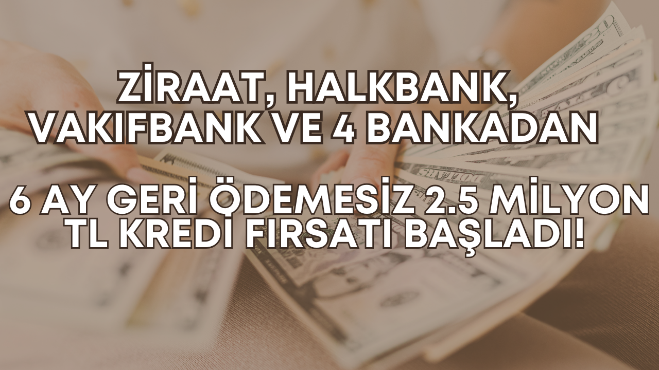 Ziraat, Halkbank, Vakıfbank ve 4 Bankadan 6 Ay Geri Ödemesiz 2.5 Milyon TL Kredi Fırsatı Başladı!